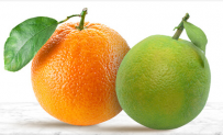 Bigbasket Offer: Upto 30% OFF Fresh Fruits Online